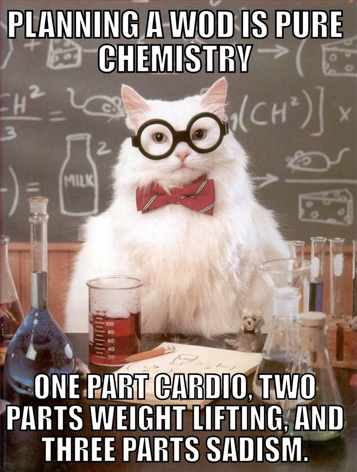best 25 crossfit memes ideas on pinterest crossfit humor 829d9b9db00e6633b70f6c5611548554 science cat science jokes best 25 crossfit memes ideas on pinterest crossfit humor,Get Down Off Cross Meme