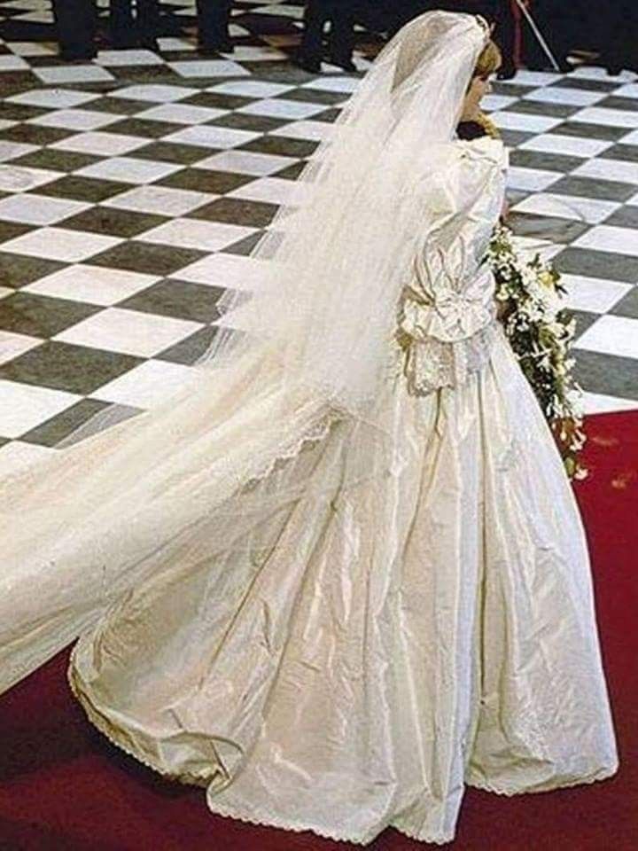 Lighting Captures The Gloriousness Of The Fabric Princess Diana