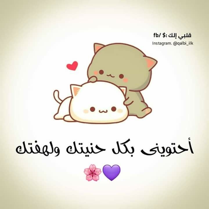 حتى لو عصبت هديني احسبني بنتك ترا محتاجتك كتير بكل لحظه بمرق فيها In My Feelings Arabic Words Inspirational Quotes