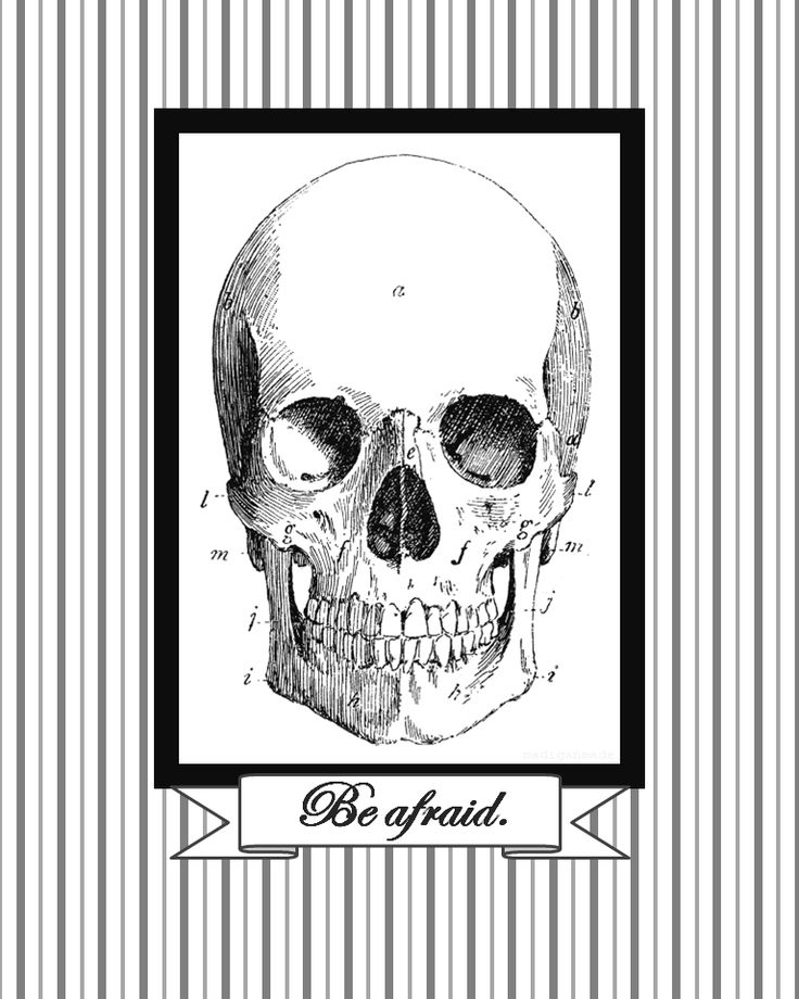 halloween graphics diy vintage clip art bones and skulls and anything halloween at the graphics fairy - Halloween Skulls halloween graphics diy vintage clip art bones and skulls and anything halloween at the graphics fairy - Halloween Skulls