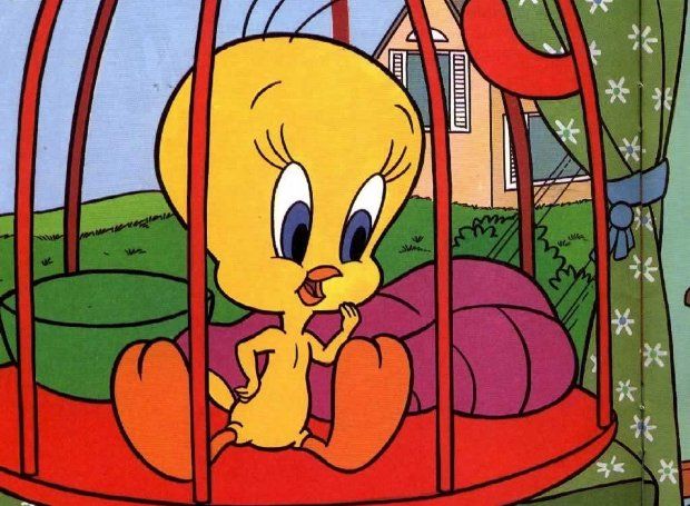 Mwsaiko Mwsaiko Toyiti Tweety カートゥーン お洒落 イラスト アメリカ アニメ Mwsaiko Mwsaiko Toyiti Tweety カートゥーン お洒落 イラスト アメリカ アニメ