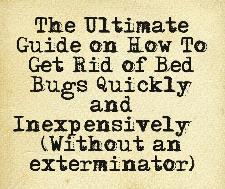 44 best bed bug treatment images on pinterest | bed bugs treatment 44 best bed bug treatment images on pinterest | bed bugs treatment