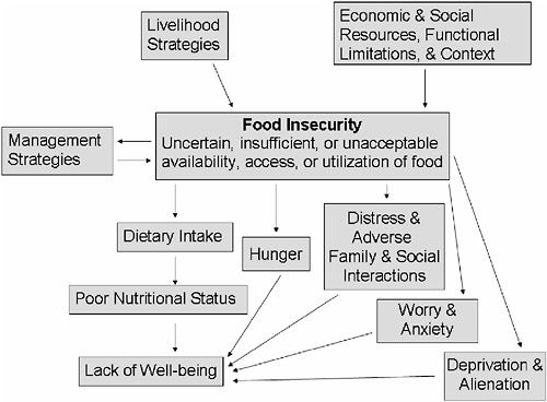 3 Concepts And Definitions Food Insecurity And Hunger In The United 3-concepts-and-definitions-food-insecurity-and-hunger-in-the-united