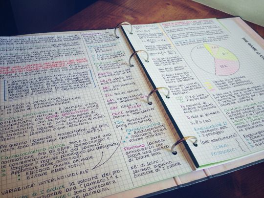 263 best studies images on pinterest colleges student life and taking notes on graph paper
