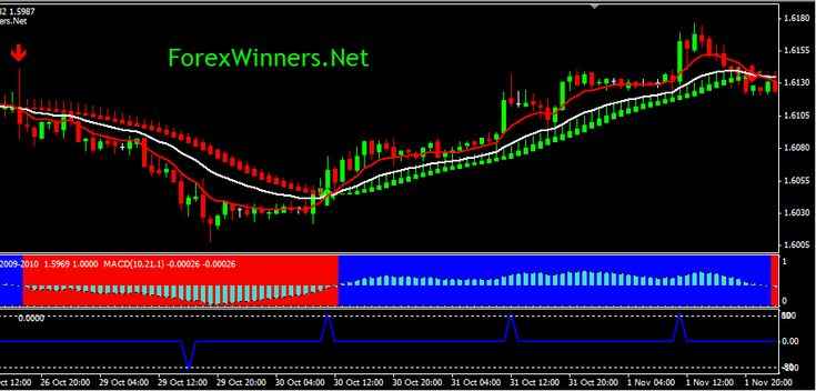 Forex winners net
