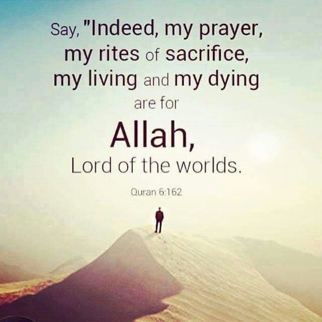 Pin on islamic quotes - Hadees & sunnah