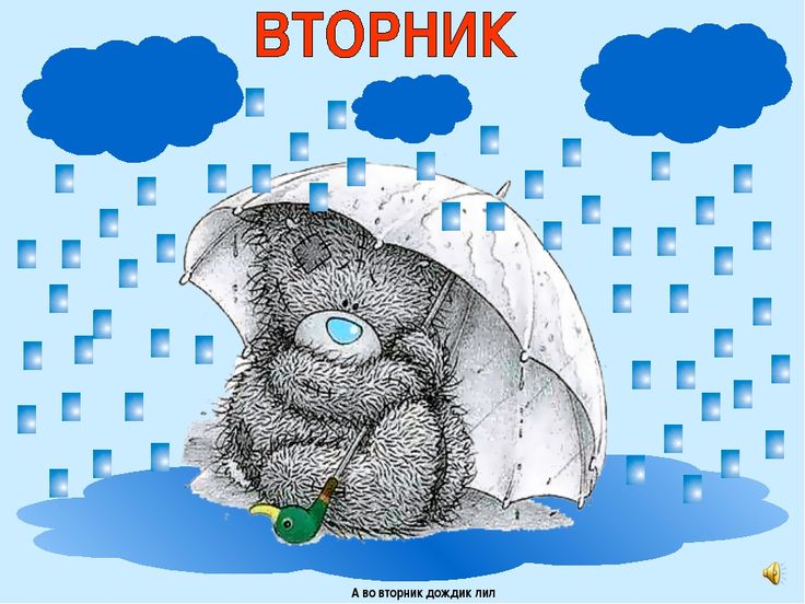 Голуби, картинки вторник приколы