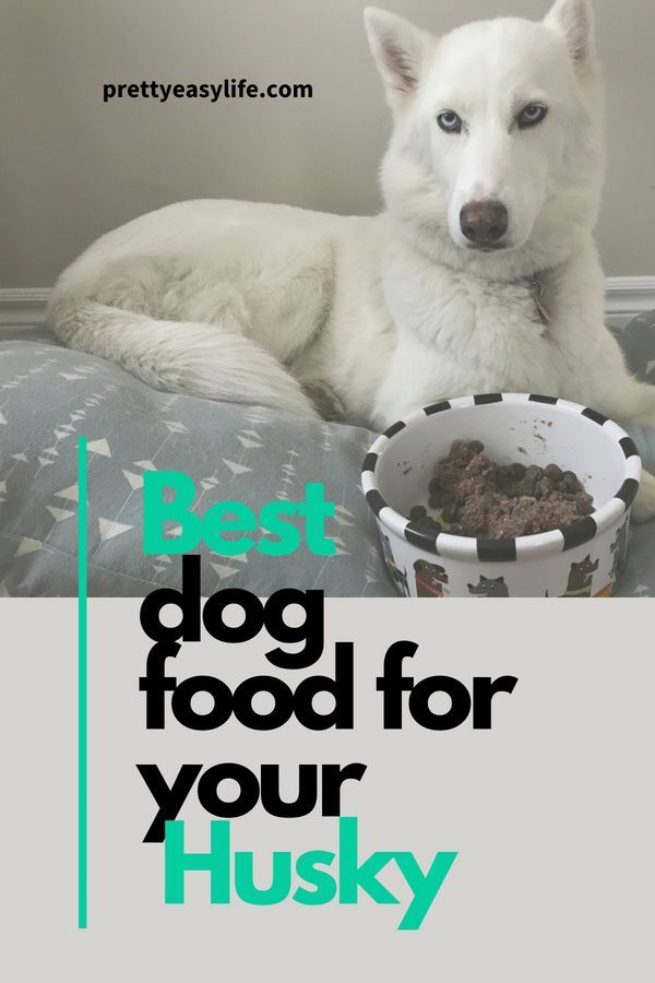 Best Dog Food For Huskies Best Dog Food Siberian Husky Dog Dog