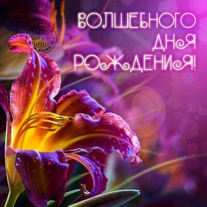 Красивые цветы с днем рождения