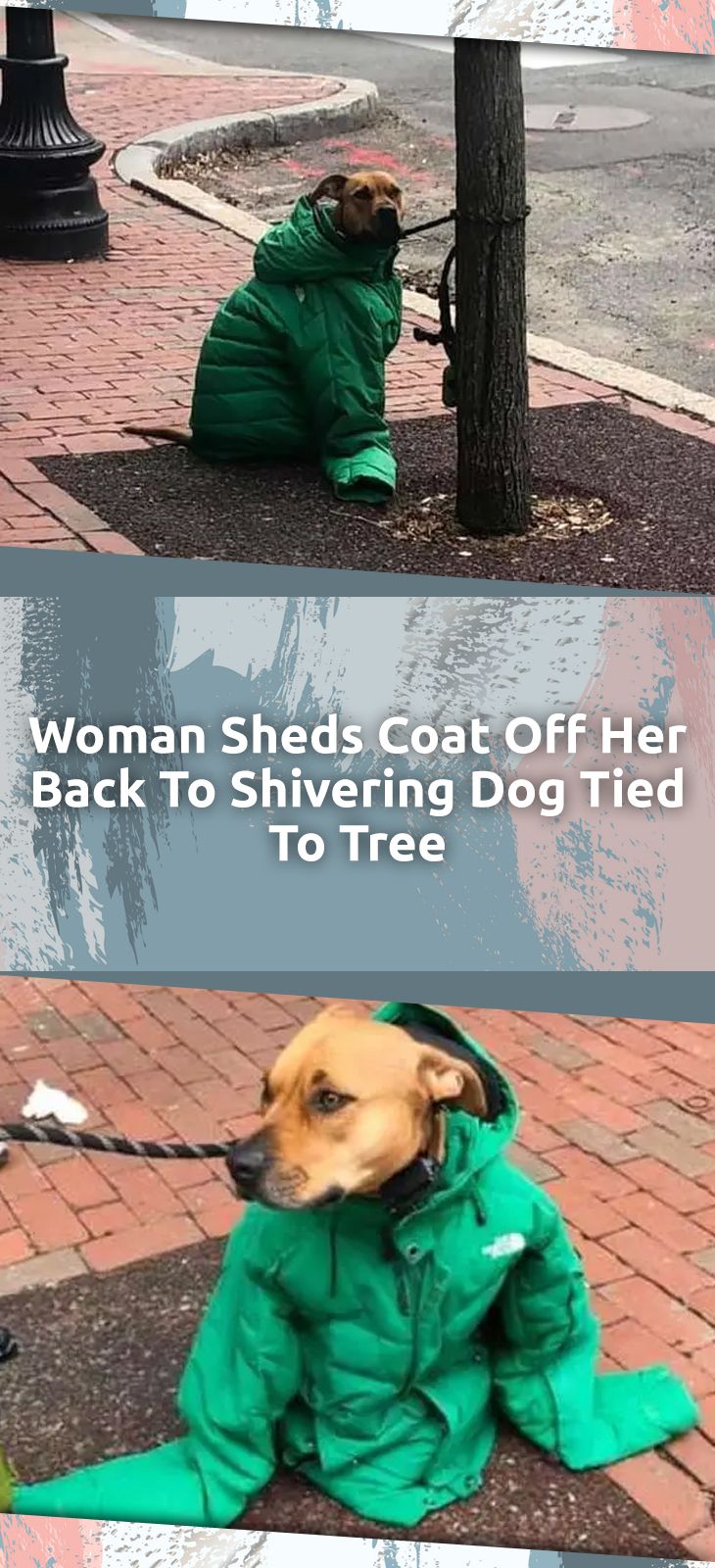 Woman Sheds Coat Off Her Back To Shivering Dog Tied To Tree