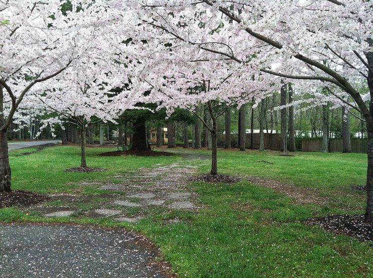 Red Wing Park is well known in Hampton Roads for its beautiful