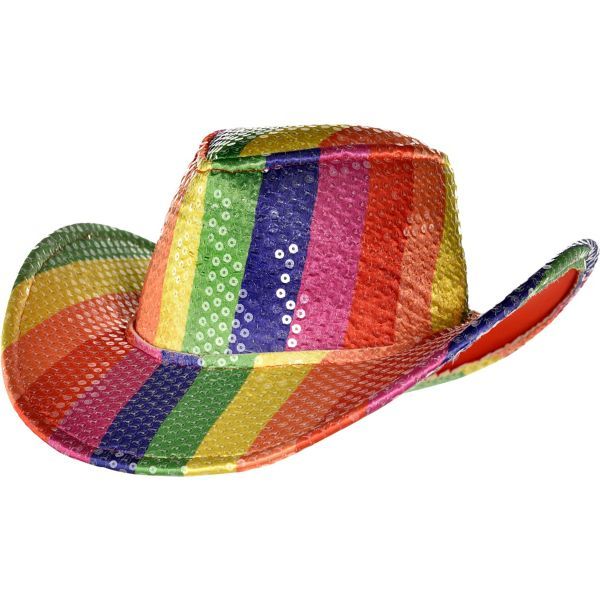 Adults Rainbow Cowboy Felt Hat Mens Gay Pride Carnival Fancy Dress Costume Hat