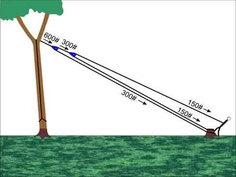 Solar Panel Cost >> Pulling Trees Down With Rope - YouTube | Tree lopping, Tree pruning, Tree felling Solar Panel Cost >> Pulling Trees Down With Rope - YouTube | Tree lopping, Tree pruning, Tree felling