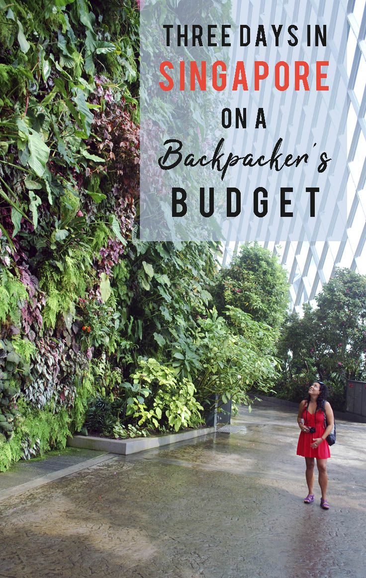 Three Days in Singapore on a Backpacker's Budget | Singapore doesn’t usually t...