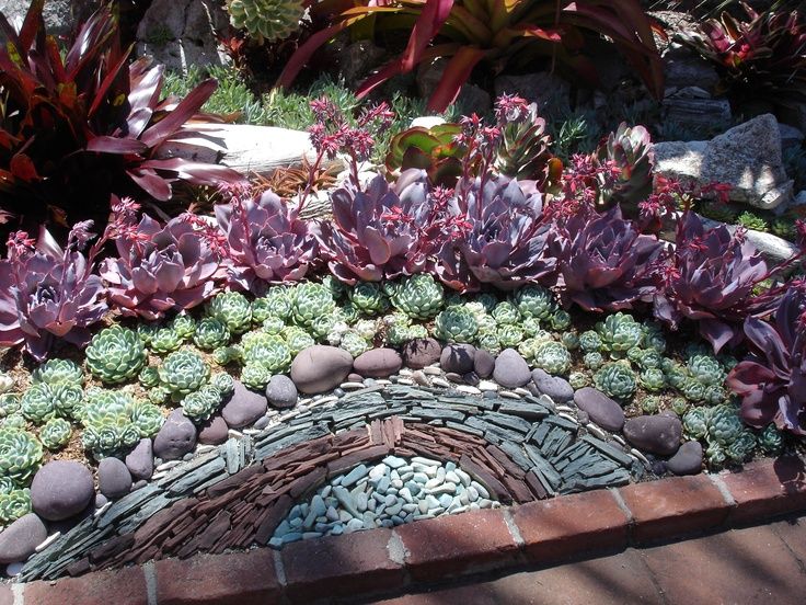 17 best succulent garden images on Pinterest | Succulents garden ... - how to design a succulent garden 17 best succulent garden images on Pinterest | Succulents garden ... - how to design a succulent garden