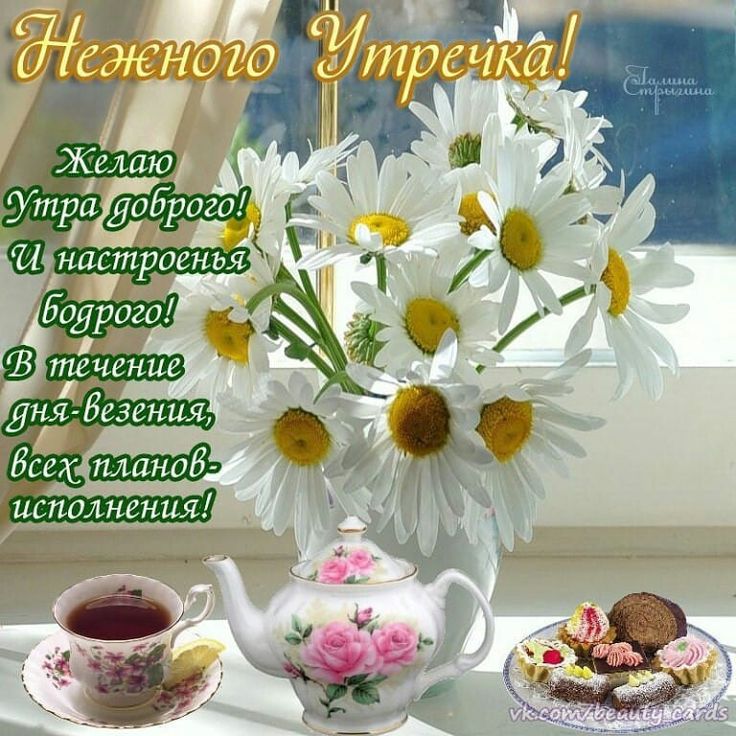 Картинки доброго утра и дня хорошему человеку, днем рождения сестры