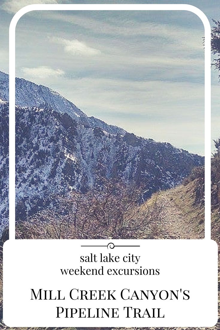Dog Friendly Restaurants Salt Lake City Dog Friendly Restaurants Salt Lake City