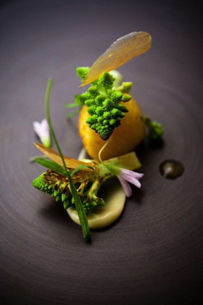 THE MOST BEAUTIFUL FOOD ART DINING CREATIONS OF THE MOMENT. | Beautiful