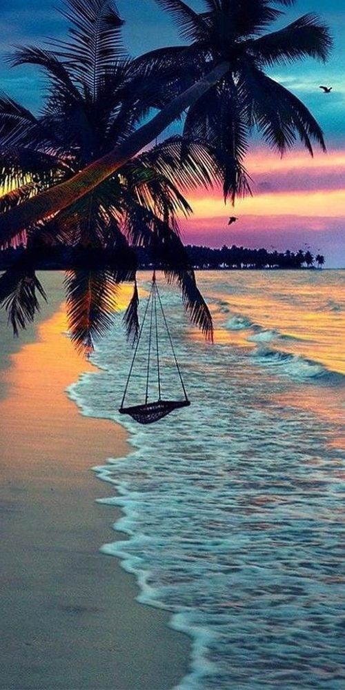 Beach La Swing Warm Paradise Tropical Dream World Photo