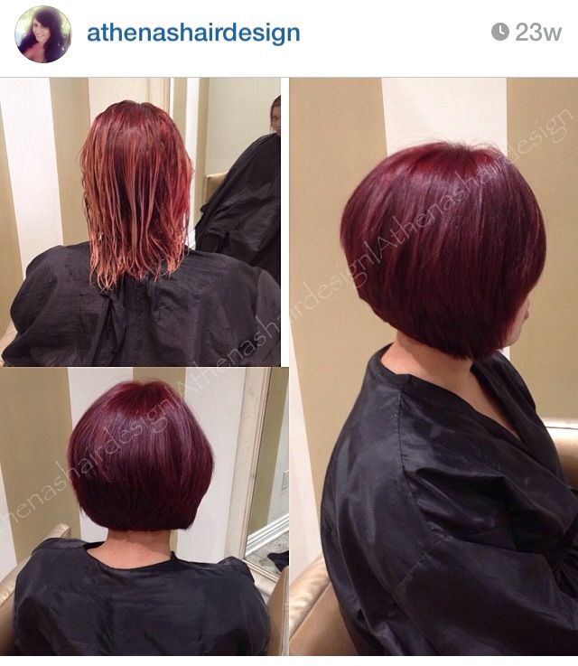 Best 25 Short Burgundy Hair Ideas On Pinterest Plum Bob Short Cut Burgundy Hair
