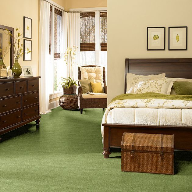 best 10+ green carpet ideas on pinterest | polka dot wallpaper best 10+ green carpet ideas on pinterest | polka dot wallpaper