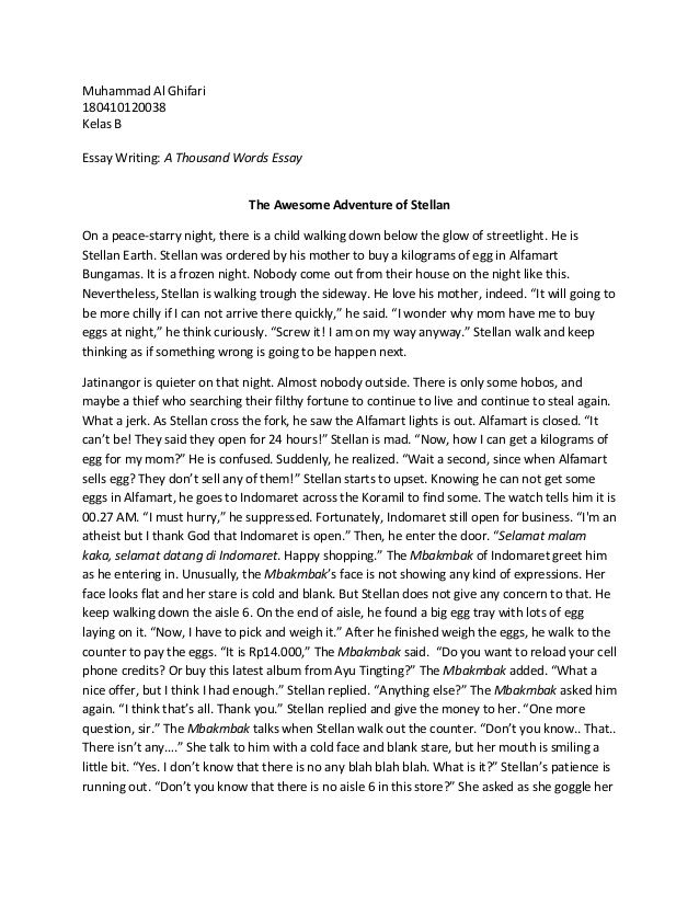 Admission essay writing 3000 word