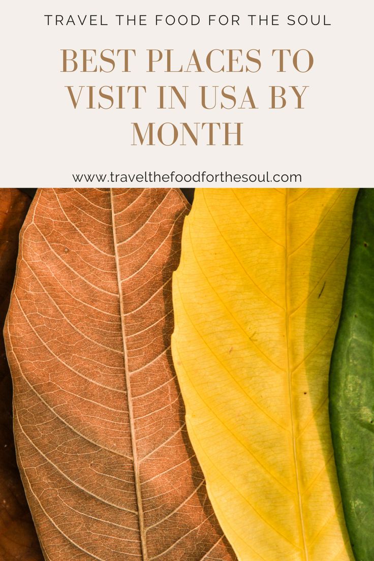 Best Places To Visit in USA By Month Cool places to visit Best Places To Visit in USA By Month Cool places to visit