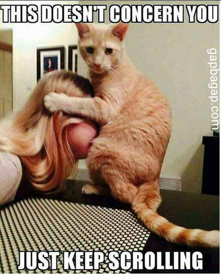 196 best adult humour images on pinterest funny memes, hilarious 8480d88797d4a6ac7cfa32fe3d006980 deadpool funny memes memes funny adult 196 best adult humour images on pinterest funny memes, hilarious,Funny Adult Memes