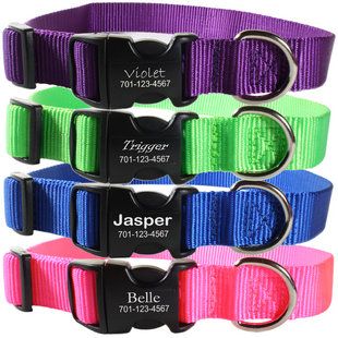 Dog Collar With Name Tag Dog Collar With Name Tag
