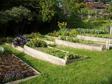This Is Basically How I Am Going To Attempt Transform My Hillside This Is Basically How I Am Going To Attempt Transform My Hillside Into A Veggie Garden Wish Me Luck As Have Lots Of Work