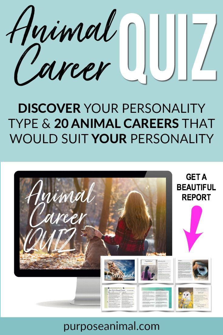 career change quiz