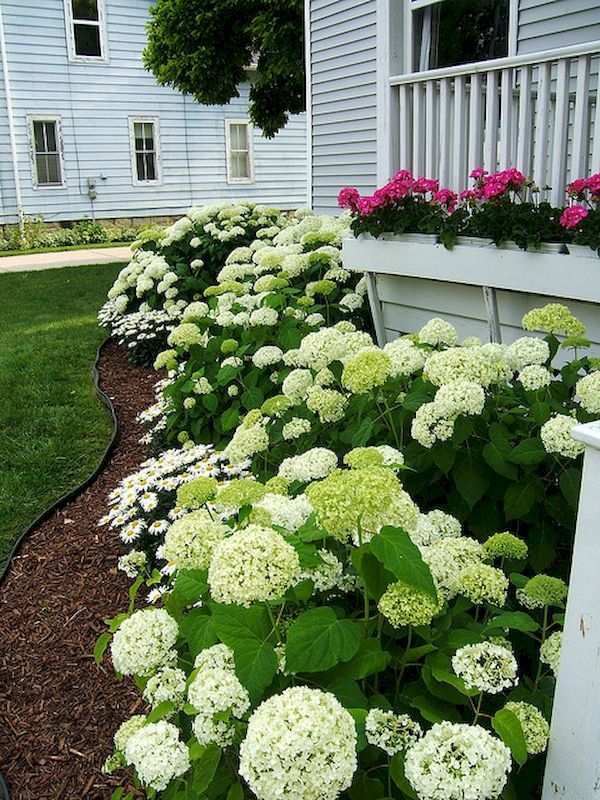 Front Yard Garden Ideas Pictures top 25+ best cottage front yard ideas on pinterest | cottage Front Yard Garden Ideas Pictures top 25+ best cottage front yard ideas on pinterest | cottage