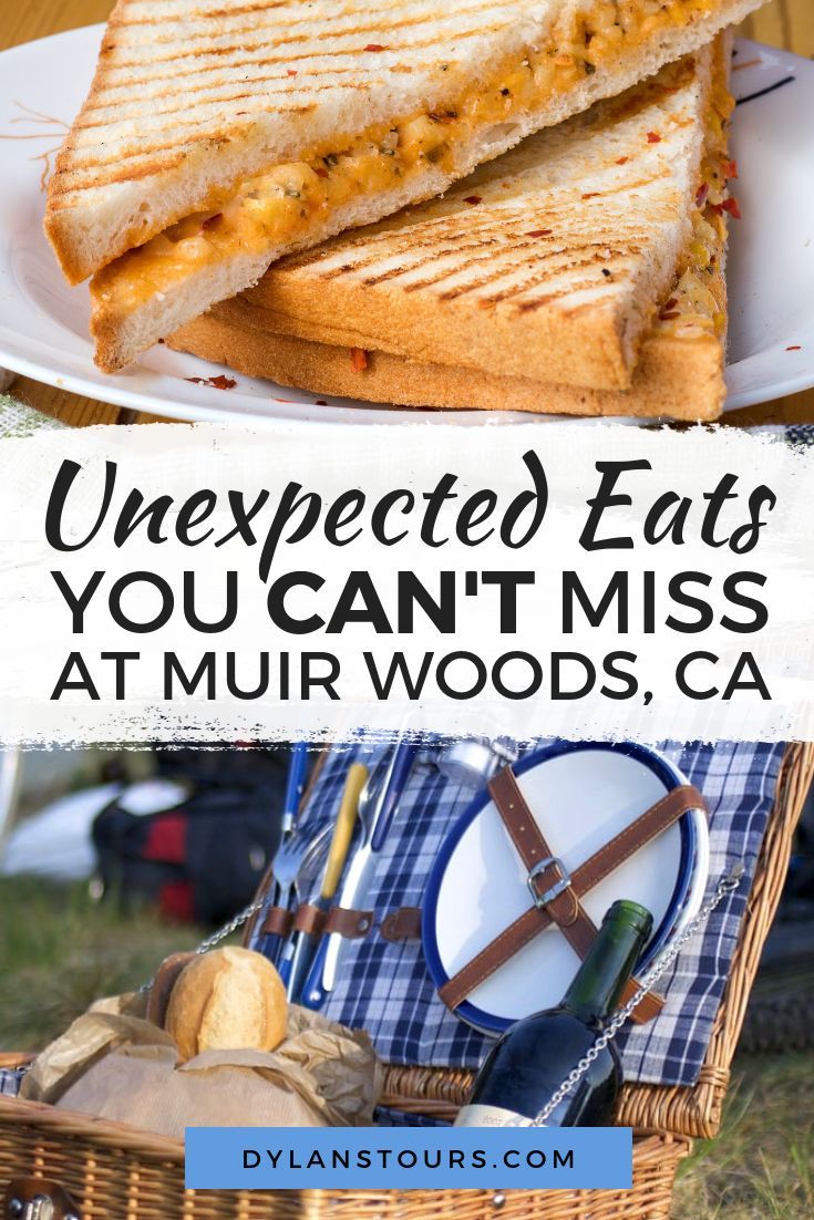 Restaurants Near Muir Woods Two Eats You Can't Miss Foodie travel
