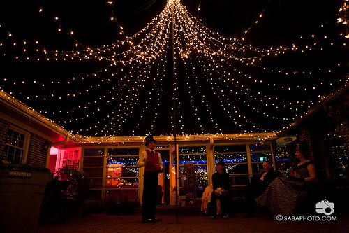 anna joe s circus carnival and costume ball wedding alternative