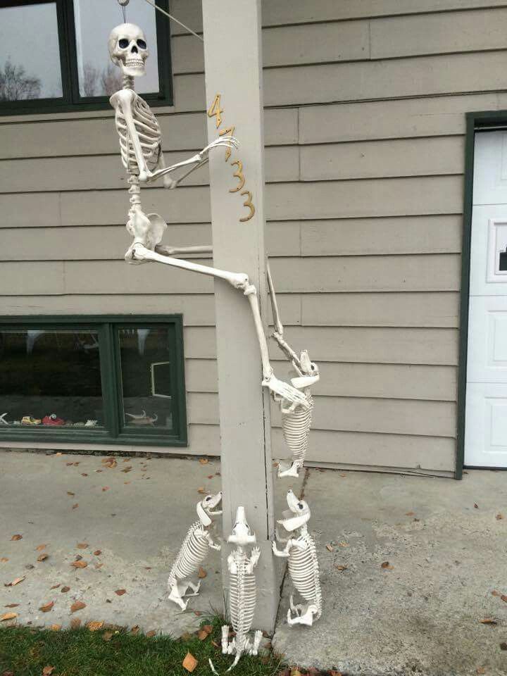 skeleton up a pole with dogs chasing him