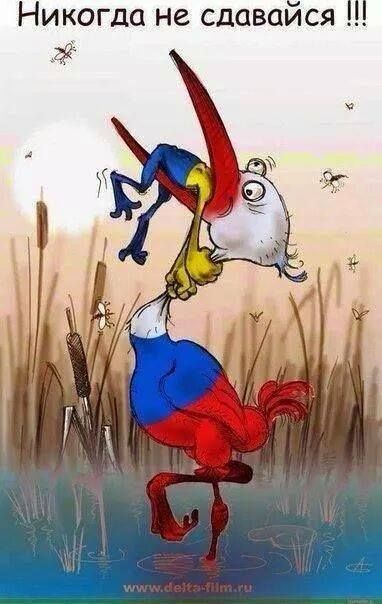 Открытки никогда не сдавайся, поздравление новым