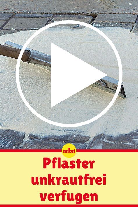 Más de 25 ideas increíbles sobre Rasenunkraut en Pinterest - unkraut im rasen Más de 25 ideas increíbles sobre Rasenunkraut en Pinterest - unkraut im rasen