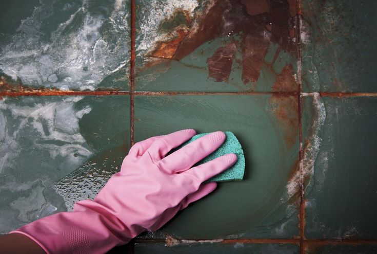 Does Bleach Kill Black Mold? The Answer May Surprise You