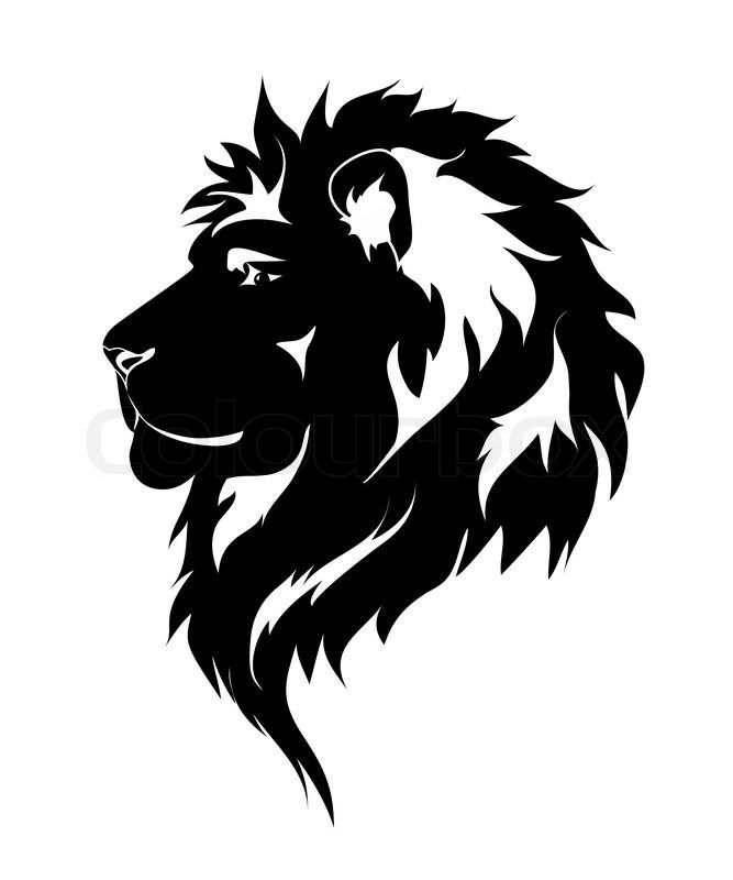 31 best white lion tattoo designs images on pinterest 31 best white lion tattoo designs images on pinterest