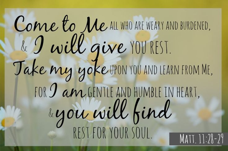 Matthew 11 29 30 Matthe s 11 29 30 Cool Words Scripture Verses matthew-11-29-30-matthe-s-11-29-30-cool-words-scripture-verses