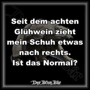 Der_Gluehwein_ist_schuld.jpg von Karsten auf www.funpot.net