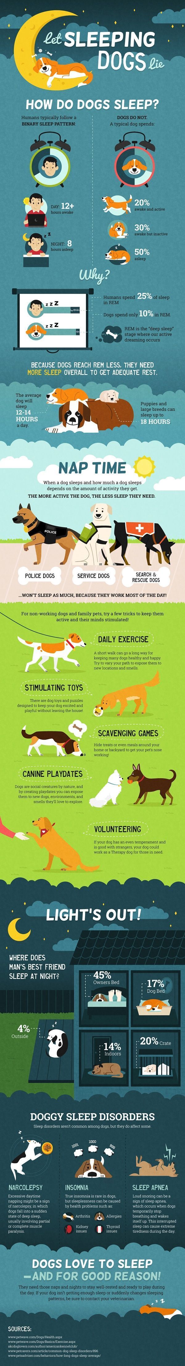 Infographic: Is Your Dog Sleeping A Little Too Much? – all about lexy/dog stuff/diy Infographic: Is Your Dog Sleeping A Little Too Much? – all about lexy/dog stuff/diy