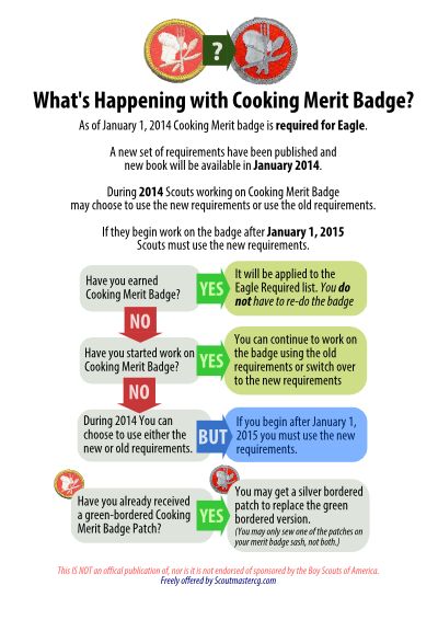 33 best Boy Scout Merit Badges images on Pinterest Merit badge