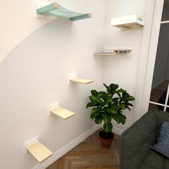 wally corner feeder bundle wally 1 step cot flat feeder etsy wall mounted perch cat shelves wall shelves
