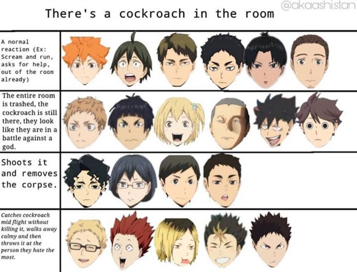 Pin on Haikyuu | Haikyuu manga, Haikyuu anime, Haikyuu characters