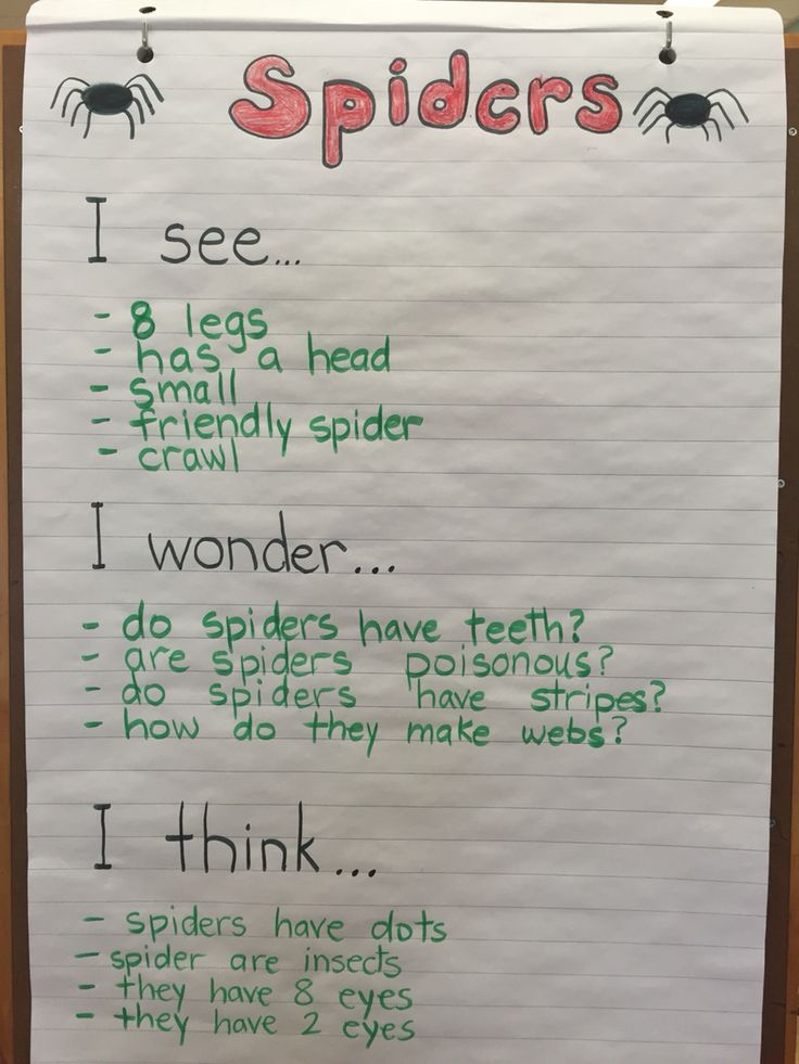 Inquiry based learning essay