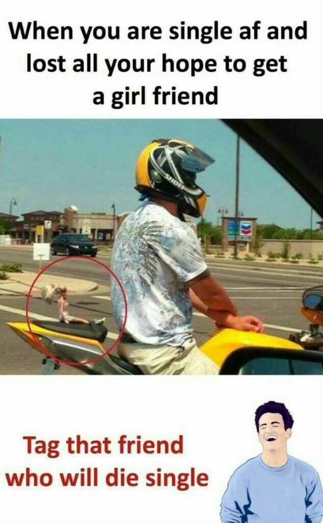 funny posts humor memes