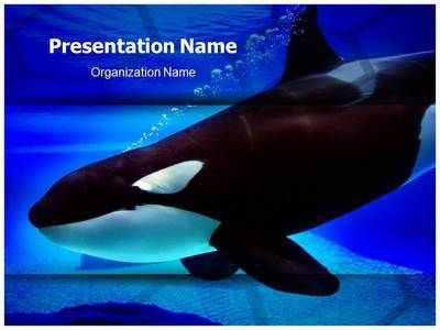 Best 60 Animals And Pets Powerpoint Templates Ideas On Pinterest Role Models Template And Killer Powerpoint Templates