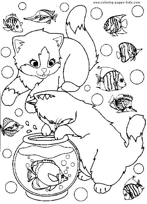 cat color page, animal coloring pages, color plate, coloring sheet