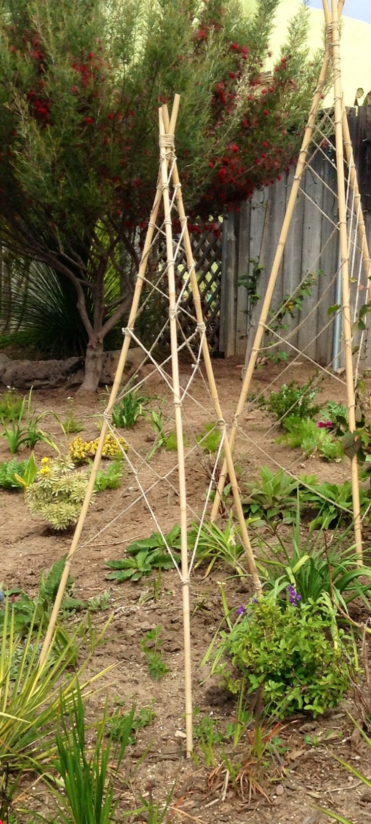 Pin by Nancy Allen Rutland on Gardens | Vegetable garden trellis